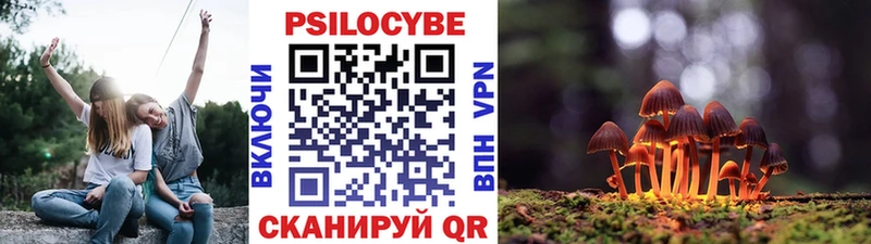 Купить Краснокамск Псилоцибиновые грибы MAGIC MUSHROOMS